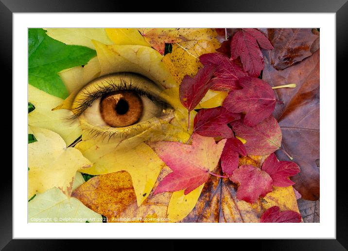 Eye and leaves Autumn surreal  collage Framed Mounted Print by Delphimages Art