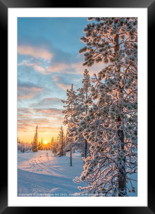Winter landscape at sunset in Lapland Framed Mounted Print by Delphimages Art