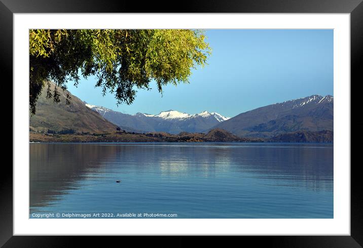 New Zealand, Lake Wanaka landscape Framed Mounted Print by Delphimages Art