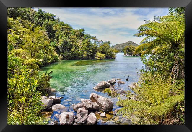 New Zealand Abel Tasman landscape Framed Print by Delphimages Art
