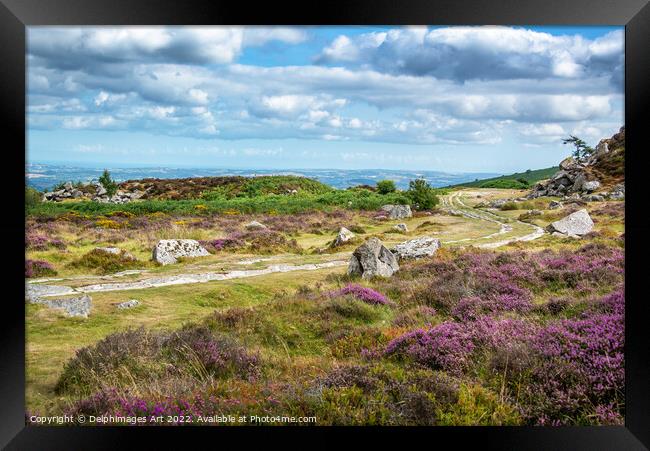 Dartmoor landscape. Old granite railway, Haytor, D Framed Print by Delphimages Art