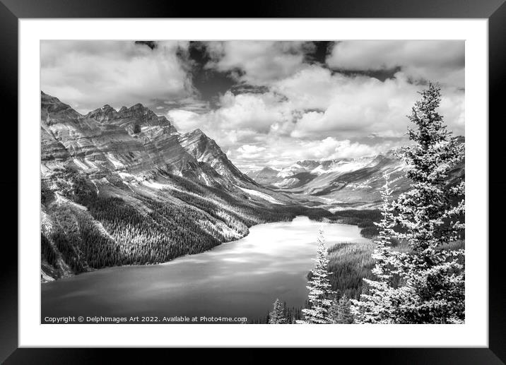 Canada. Peyto lake, Banff National Park Framed Mounted Print by Delphimages Art