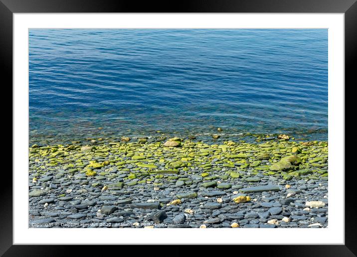 Black slate pebbles on a beach. Nature abstract Framed Mounted Print by Delphimages Art