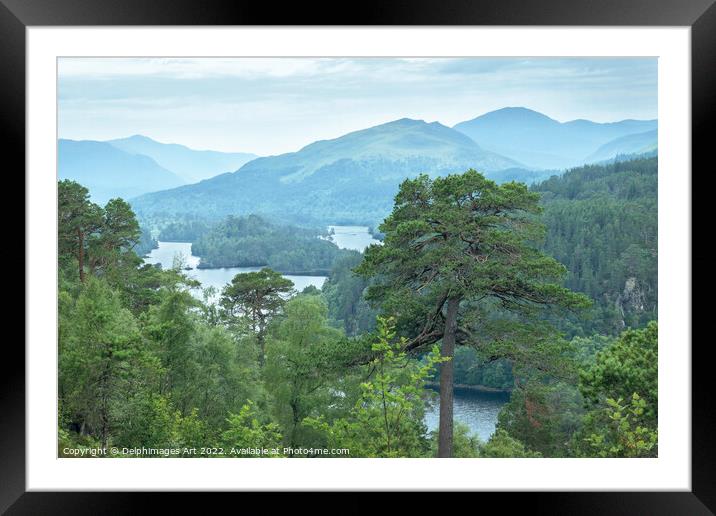 Glen Affric view point panorama on the Highlands Framed Mounted Print by Delphimages Art