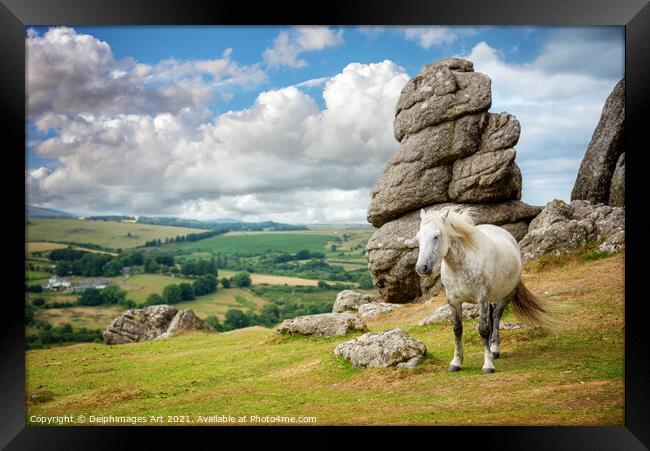 Dartmoor landscape with a white pony, Devon Framed Print by Delphimages Art