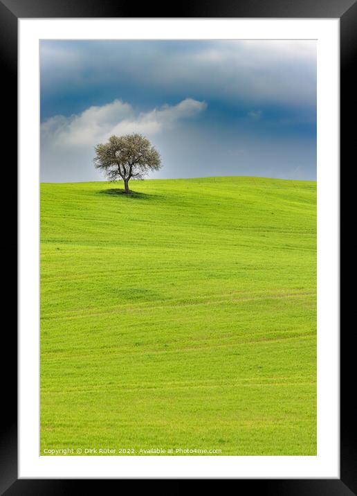 Solitary tree in Tuscany Framed Mounted Print by Dirk Rüter