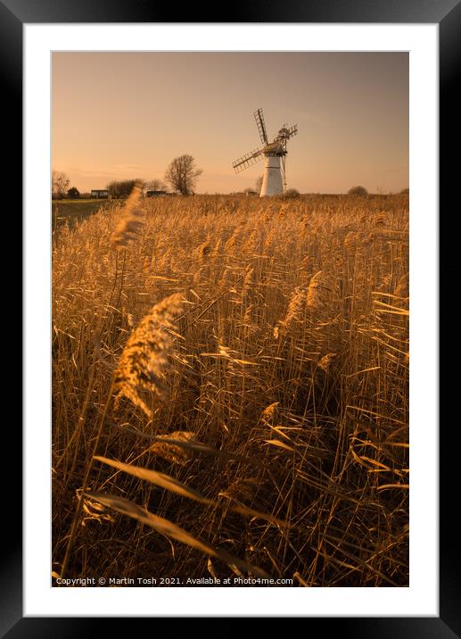 Broadland glow. Thurne Mill Framed Mounted Print by Martin Tosh