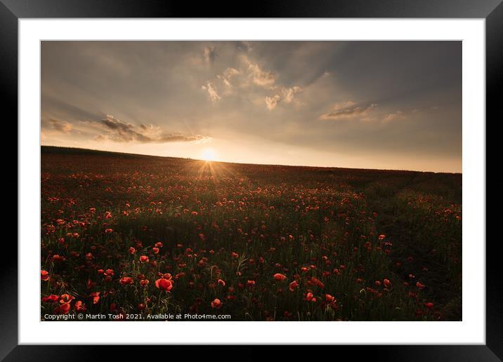 'Red setter' Sunset over Norfolk poppy field Framed Mounted Print by Martin Tosh
