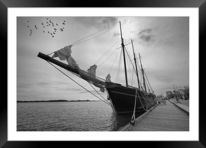Saling boat on Ontatio Lake Framed Mounted Print by Elijah Lovkoff