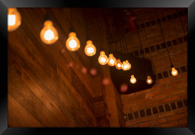 Light bulbs in trendy restaurant Framed Print by Elijah Lovkoff