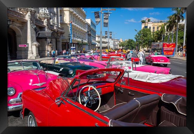 Havana, Cuba – 16 January, 2020: Famous colorful Taxis in Hava Framed Print by Elijah Lovkoff