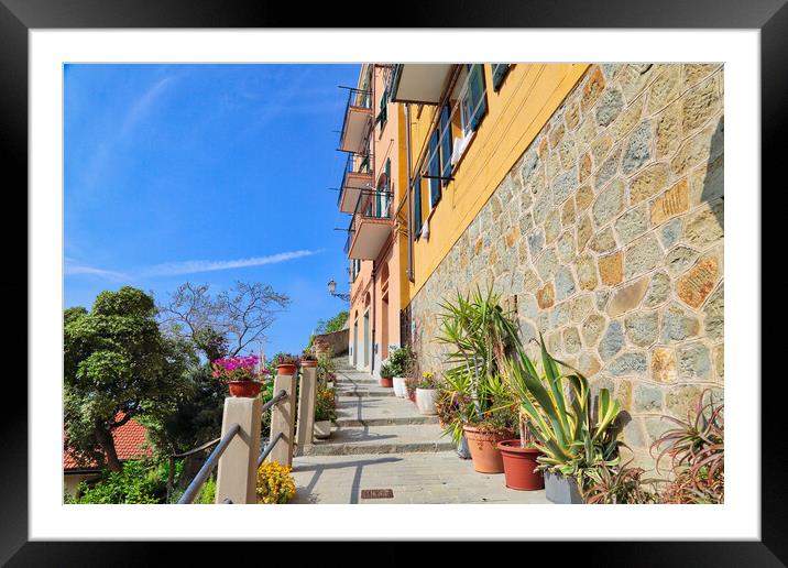 Italy, Riomaggiore colorful streets Framed Mounted Print by Elijah Lovkoff