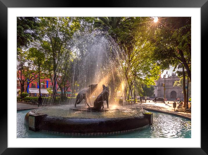 Beautiful Coyoacan streets and houses in historic district that hosts Frida Khalo museum and authentic Mexican restaurants Framed Mounted Print by Elijah Lovkoff