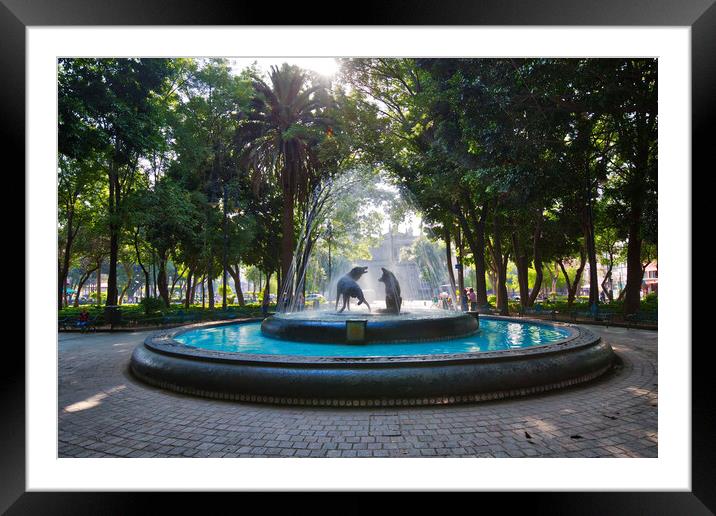 Coyoacan, Mexico City, Mexico, Drinking coyotes statue and fountain in Hidalgo Square in Coyoacan Framed Mounted Print by Elijah Lovkoff