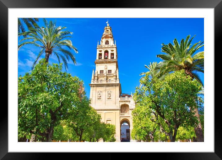 Mezquita Cathedral at a bright sunny day in the heart of histori Framed Mounted Print by Elijah Lovkoff