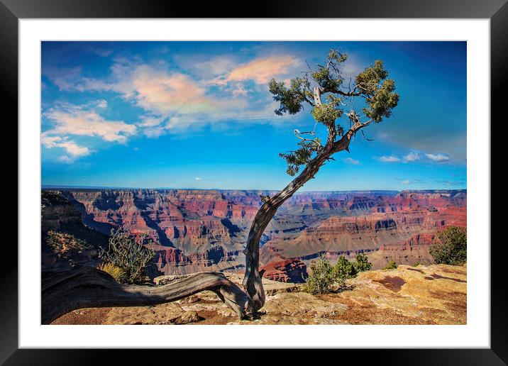 Grand Canyon scenic views and landscapes Framed Mounted Print by Elijah Lovkoff