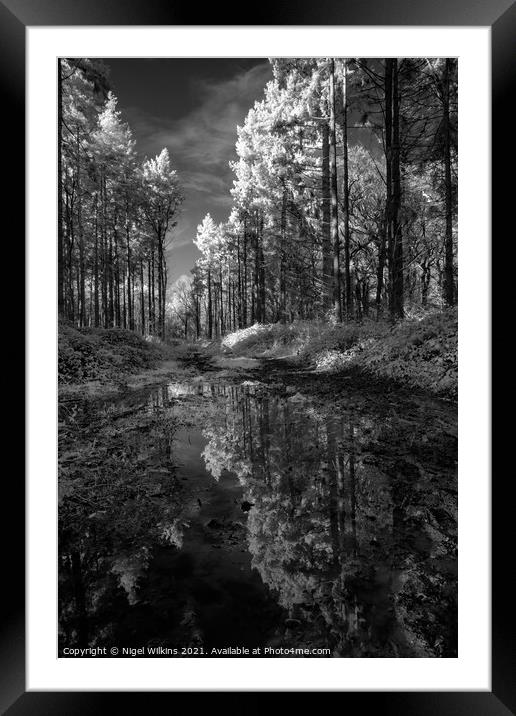 Invisible Reflections Framed Mounted Print by Nigel Wilkins