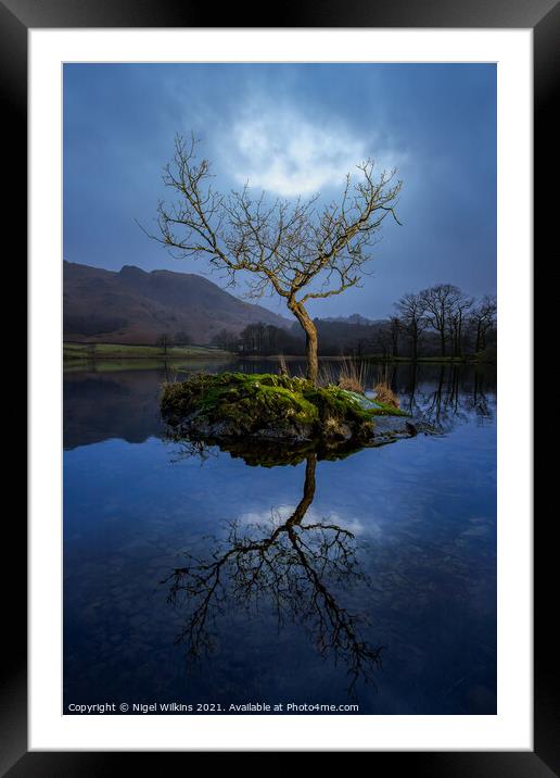 Lone Tree. Rydal Water Framed Mounted Print by Nigel Wilkins