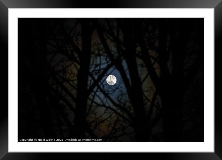 Full Moon Framed Mounted Print by Nigel Wilkins