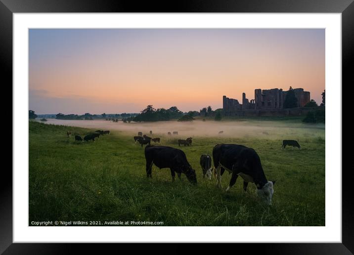 Cattle Grazing at Kenilworth Castle Framed Mounted Print by Nigel Wilkins