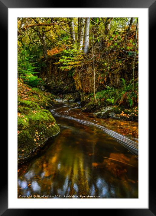 Aira Beck Framed Mounted Print by Nigel Wilkins