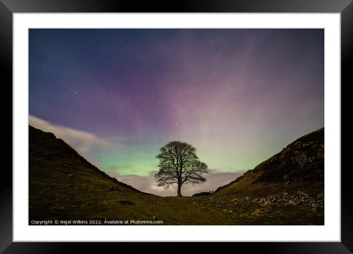 Sycamore Gap Framed Mounted Print by Nigel Wilkins