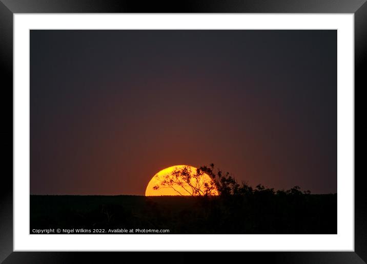 Moonrise Framed Mounted Print by Nigel Wilkins