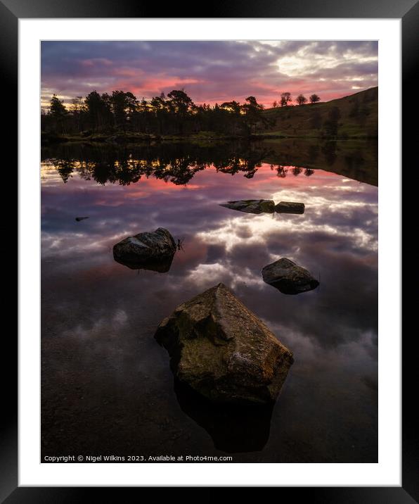 Tarn Hows Dawn, Lake District Framed Mounted Print by Nigel Wilkins