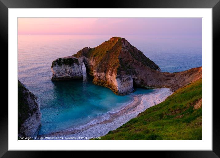 Drinking Dinosaur Framed Mounted Print by Nigel Wilkins