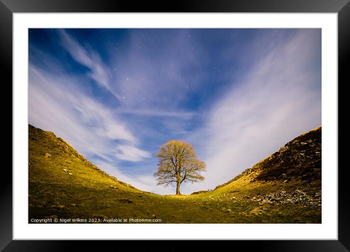 Sycamore Gap at Night Framed Mounted Print by Nigel Wilkins