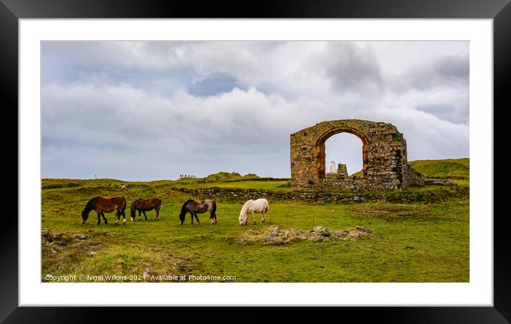 Ynys Llanddwyn Framed Mounted Print by Nigel Wilkins