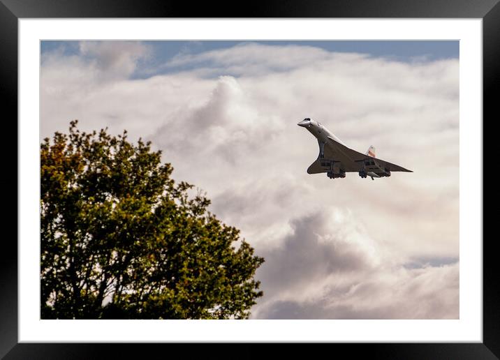 Concorde Framed Mounted Print by Nigel Wilkins