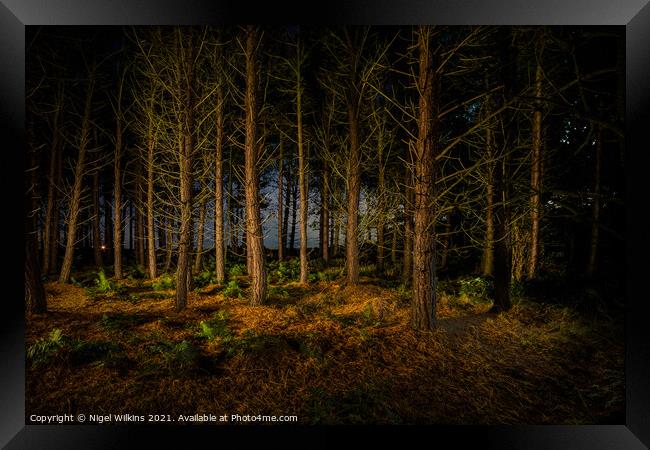 Natural Night Lights Framed Print by Nigel Wilkins