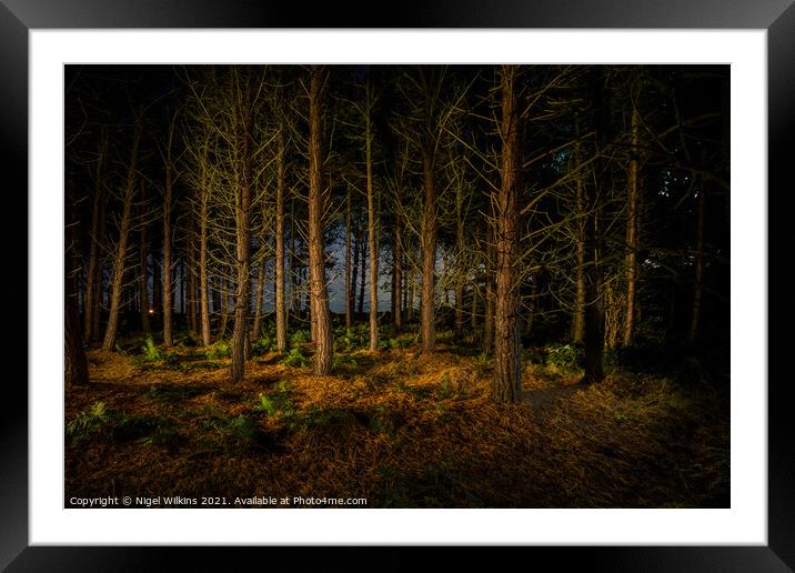 Natural Night Lights Framed Mounted Print by Nigel Wilkins