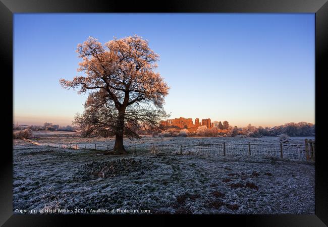 Kenilworth Castle Oak Framed Print by Nigel Wilkins