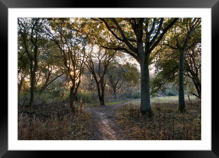 Holland pits nature reserve Framed Mounted Print by Geoff Taylor