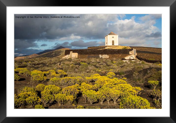 Old windmill Lanzarote, Canary Islands Framed Mounted Print by Ian Murray