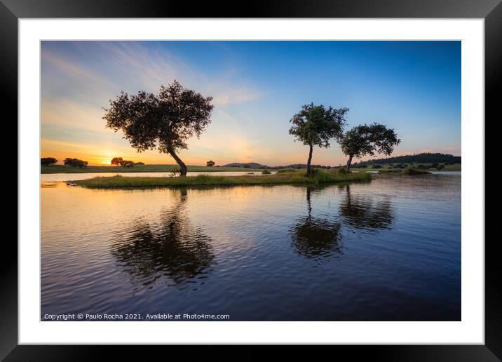 Trees surrounded by water in a lake at sunset Framed Mounted Print by Paulo Rocha