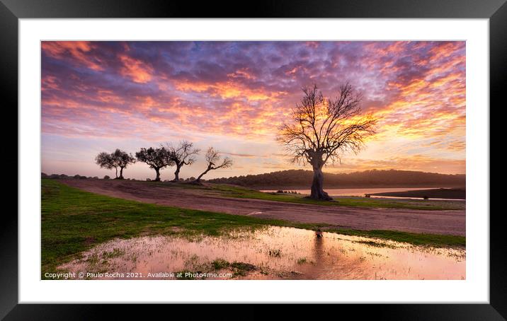 Sunset landscape in Alentejo, Portugal Framed Mounted Print by Paulo Rocha