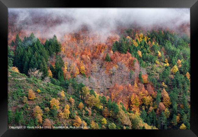 Hillside colorful autumn landscape Framed Print by Paulo Rocha