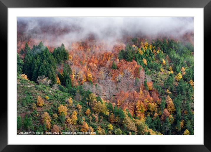 Hillside colorful autumn landscape Framed Mounted Print by Paulo Rocha