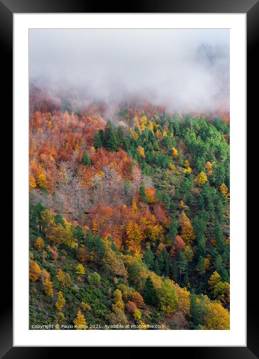 Hillside colorful autumn landscape Framed Mounted Print by Paulo Rocha