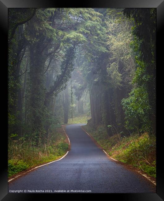 Foggy road in Sintra mountain forest Framed Print by Paulo Rocha