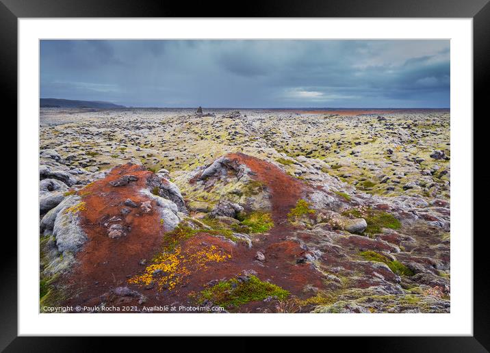 Moss-covered Icelandic lava field Framed Mounted Print by Paulo Rocha