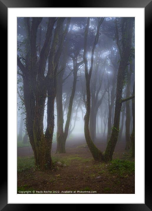 Fog in the forest Framed Mounted Print by Paulo Rocha