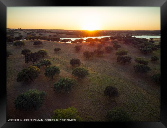 Cork oak forest by the lake at sunset - Alentejo, Portugal Framed Print by Paulo Rocha