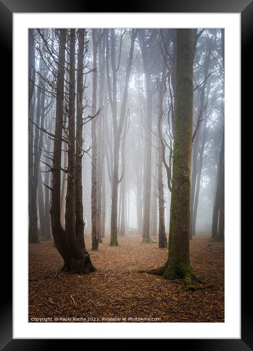Forest with fog in Sintra Framed Mounted Print by Paulo Rocha