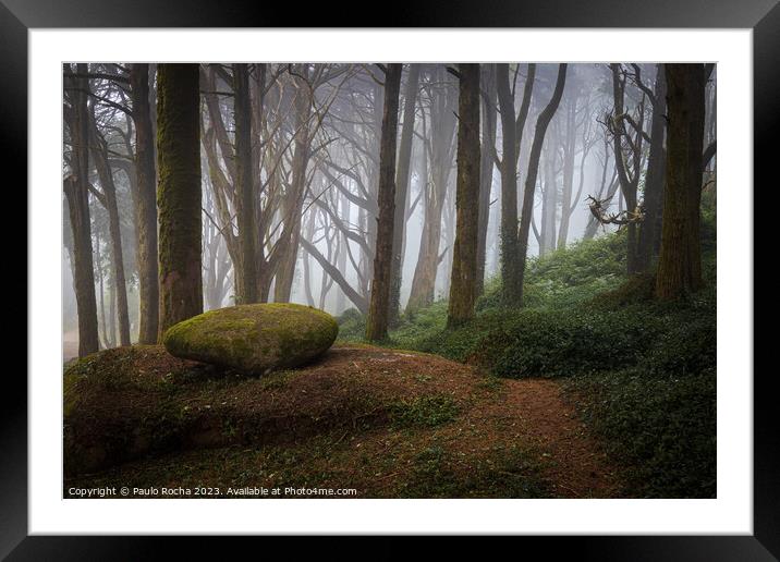 Foggy forest path in Sintra mountain, Portugal Framed Mounted Print by Paulo Rocha