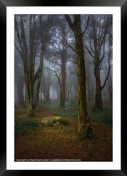 Misty forest with mossy rocks and trees Framed Mounted Print by Paulo Rocha