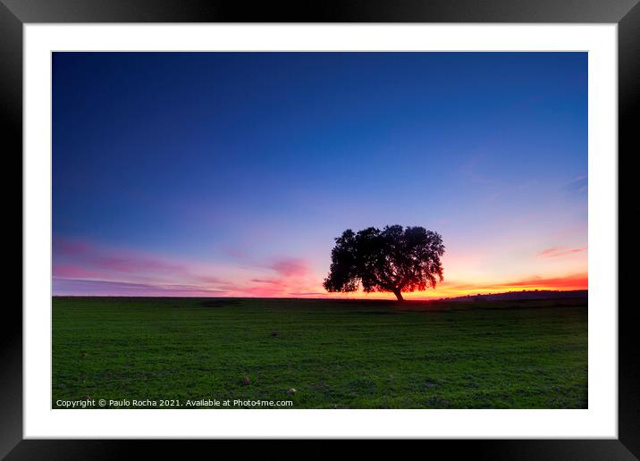 A lonely tree, typical Alentejo landscape at twilight Framed Mounted Print by Paulo Rocha